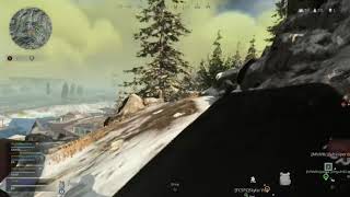 Warzone Quads Win With Zaftsniper, Purplep3Ngu1N55, Skylar Vox And Myself.