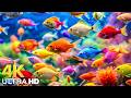 Incredible Aquarium 4K ULTRA HD | Dive Deep &amp; Explore the Ocean's Hidden World - Dream Life #1