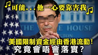 20200614G【可能他一心要靠害我】某國限制資金經由香港流動！究竟會唔會落實？  | 芒向快報