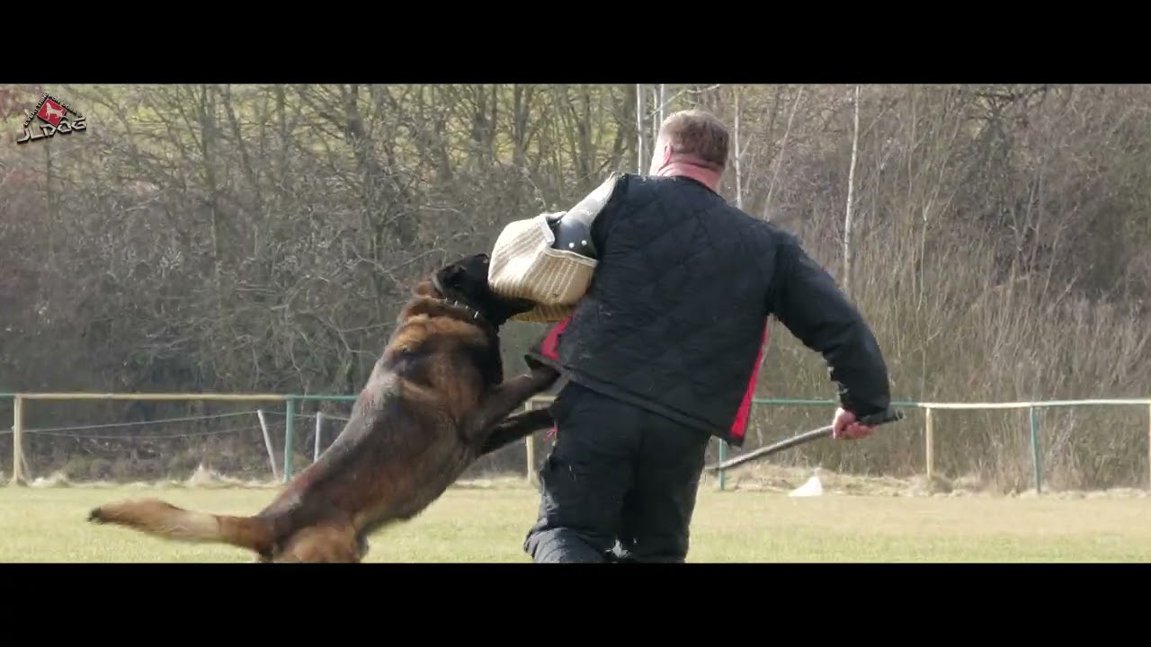 Cannibal Rebel Dog - Slatinské Lazy 14. 2. 2026