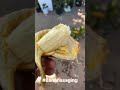 Harvest ng banana c dodong ngayon, Makakain din ng di frozen na saging 🍌