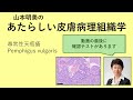 あたらしい皮膚病理組織学 尋常性天疱瘡 あたらしい皮膚病理組織学 尋常性天疱瘡