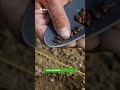 Ref:537pWN-2tqY Pr�diction de la m�t�o au jardin en 2026 : les m�thodes d'antan