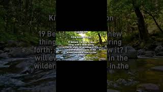 Isaiah 43:19 KJV #god #jesus #jesuschrist #love #faith #bibleverse #bible #shorts #trending #gospel