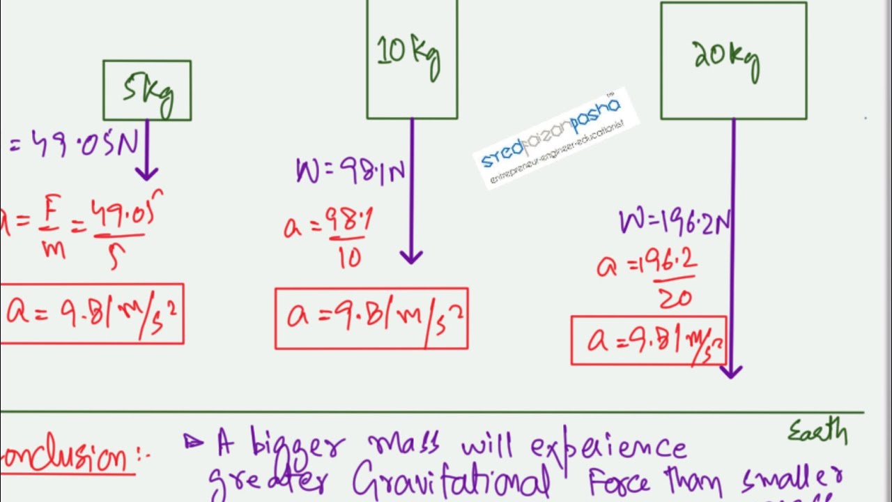 AS Physics Kinematics | Lecture 12 | The concept of Free Fall motion ...