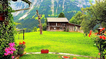 DESA DI SWISS: SURGA DI KAKI PEGUNUNGAN ALPEN