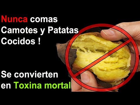 Nunca <strong>comas</strong> Camotes Cocidos | Se convertirán en Sustancias Mortales