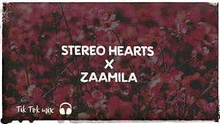 Video thumbnail of "Stereo Hearts x Zaalima (English x Hindi Mashup)🔊BASS BOOSTED"