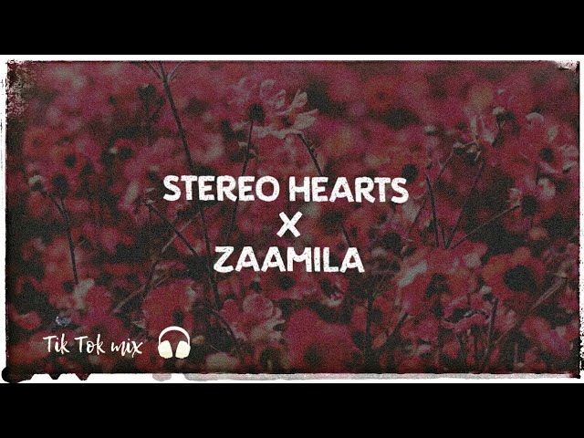 Stereo Hearts x Zaalima (English x Hindi Mashup)🔊BASS BOOSTED class=