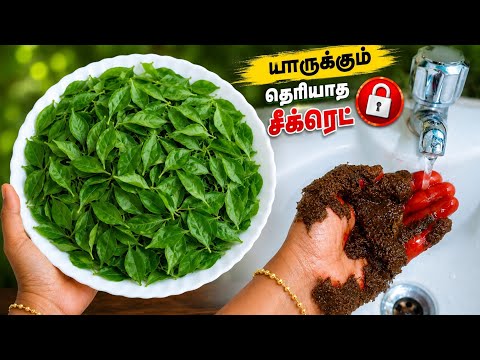 மருதாணி இப்படி அரைச்சு வைங்க 10 நிமிடத்தில் பட்டுபோல சிவக்கும் maruthani sivakka tips DYE