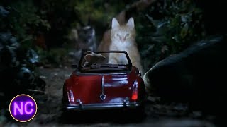 Stuart Little | A Chase Through the Park