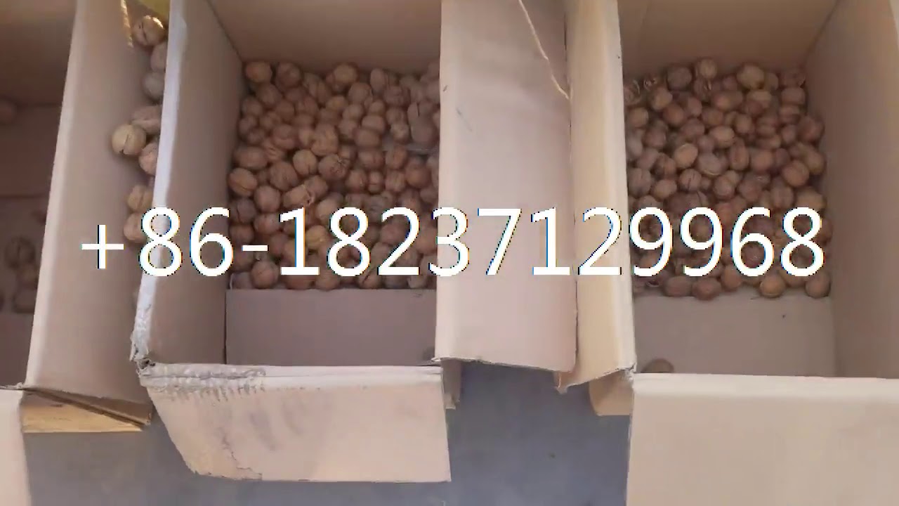 navel grapefruit lemon sorter machine garlic citrus sorting grading machine