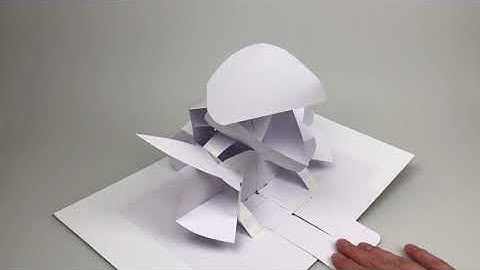 Transforming flesh eating pop-up plant experiment