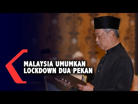 Video: Kawalan Hempedu Mahkota Pecan – Merawat Pokok Kemiri Dengan Penyakit Hempedu Mahkota