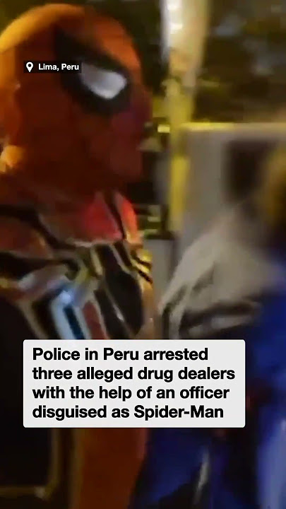 Spider-Man takes down alleged drug dealers