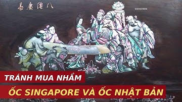 Cách Phân Biệt Đồ Gỗ Khảm Ốc Singapore và Khảm Ốc Nhật Bản ( chưa ai chia sẻ )| khảm ốc đẹp