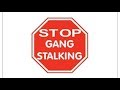 STOP STALKING ME - A Gangstalking Adventure