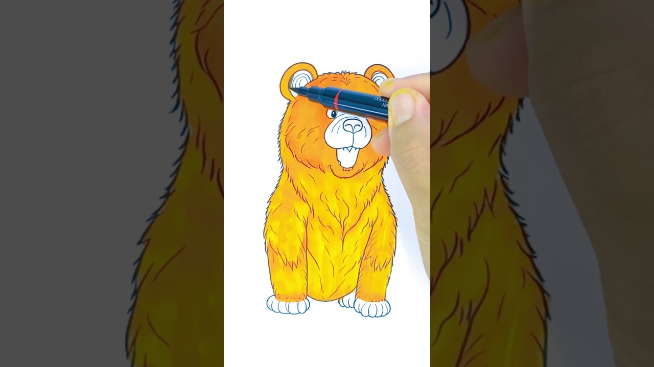 Bear Coloring Pages Dive into the World of Bears  short