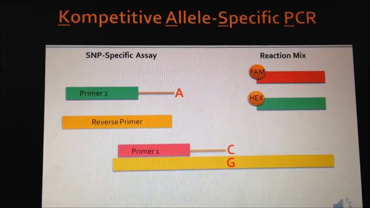 Marker assisted selection technologies YouTube