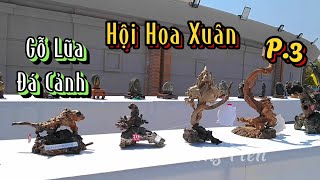 P.3 - Hội Hoa Xuân - Tham Quan Triển Lãm SVC Ninh Thuận 2024 . Gỗ Lũa Và Đá Cảnh Nghệ Thuật  #golua