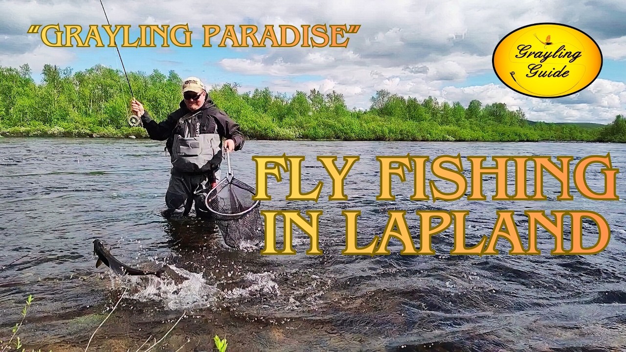 Fly fishing in Lapland