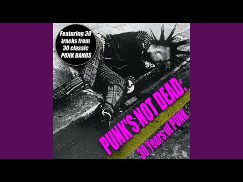 Police Story (Single Version)