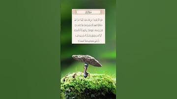 سورة النمل  #المصحف #اكسبلور
