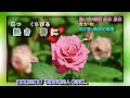 舞踏曲タンゴ 服部浩子 字義版
