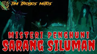 [TTM REBORN] Tim Trobos Mitos Terbaru 2024 | MISTERI PENGHUNI SARANG SILUMAN