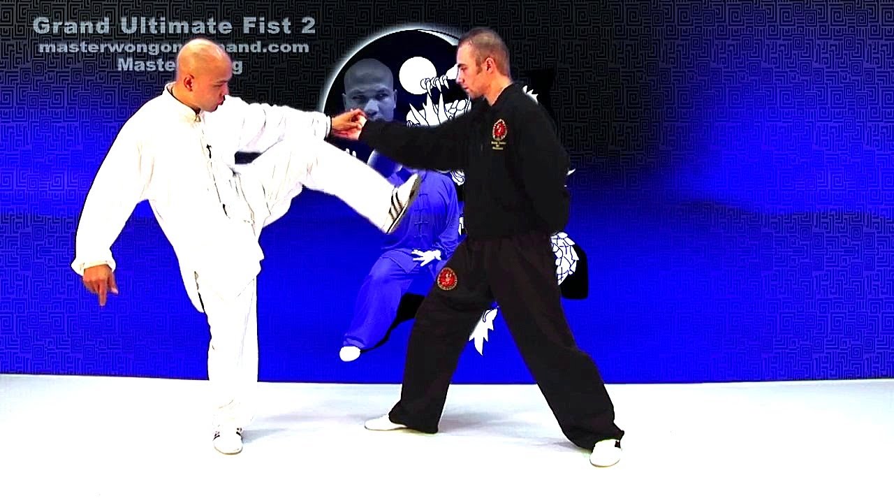tai chi push hands tai chi chuan fight style use tai chi Lesson 1