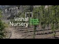 Ultra hig.ensity plantation at vishal nursery