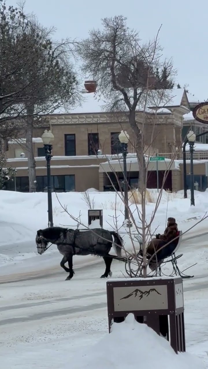 Santa Spotted Riding a Horse-Drawn Sleigh in Small Montana Town || ViralHog