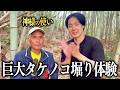 神様の使いがタケノコ掘り名人でした！『みんなとYuの大自然ワクワク冒険記#7』