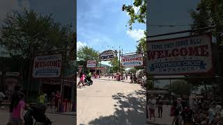 IMG 9916