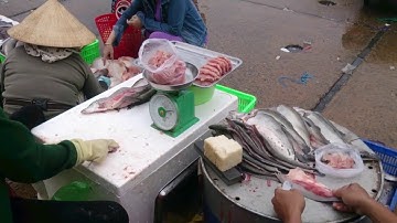 Cận cảnh nạo cá thác lác tại chợ bình điền quá đã mắt