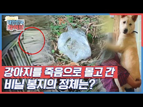 강아지 두마리를 죽음으로 몰고간 비닐봉지 속 무언가의 정체는? KBS 210413 방송