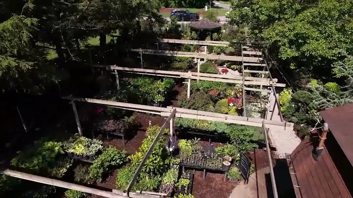 Woehler Landscape Design & Garden Center