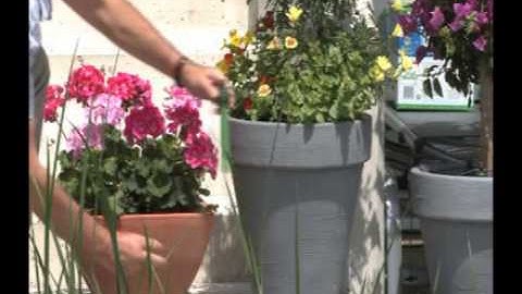 Installing a Tropf-Blumat Maxi