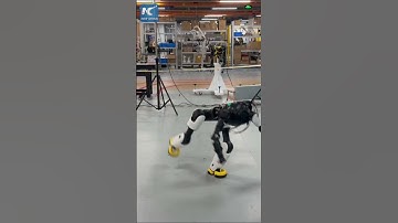 Chinese humanoid robot nails Webster flip