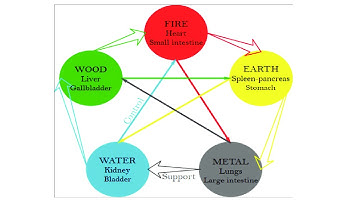 THE CYCLE OF GENERATION (SHENG) AND RESTRICTION (CONTROLLING, DESTRUCTIVE, KE) IN FIVE ELEMENTS