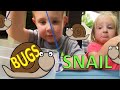 REAL BUGS!! We found a SNAIL!!