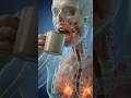 空腹時のコーヒーが体を疲れさせる理由