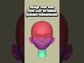 ModMesh: Modular Base Meshes