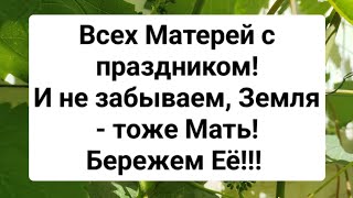 С днем Матери!!!