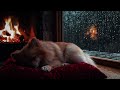 Cozy Cabin Fireplace - with Sleeping Dog 🐶 | Peaceful Winter ASMR