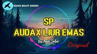 🔴SUARA PANGGIL WALET SP AUDAX LIUR EMAS ORIGINAL‼️ By: Andi Sufar Sinar 77,Suara Walet Sukses Respon