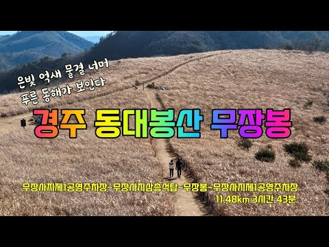 경주동대봉산무장봉