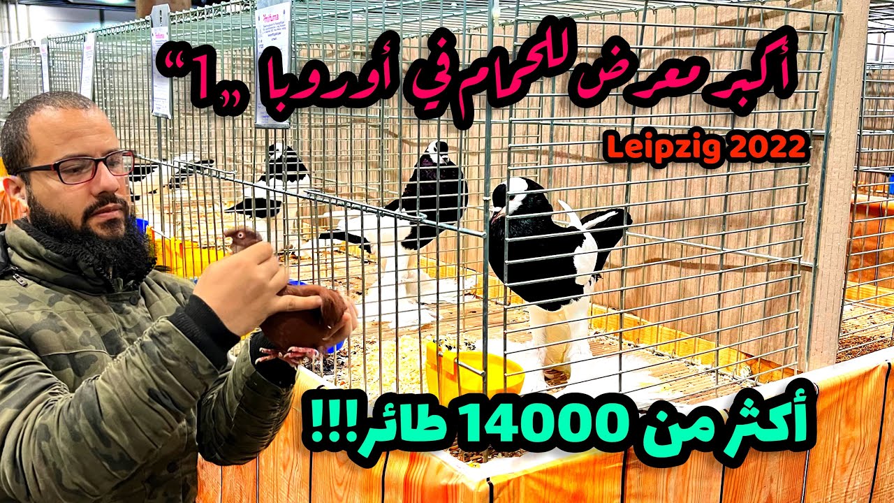 أكبر معرض للحمام في أوروبا الجزء الأول لايبزغ