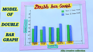 3D Model Of Double Bar Graph/ How to make a double bar graph model #mathsproject #schoolproject #diy
