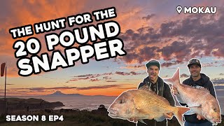 Targeting huge snapper in a REMOTE location  S8 EP4 Mokau